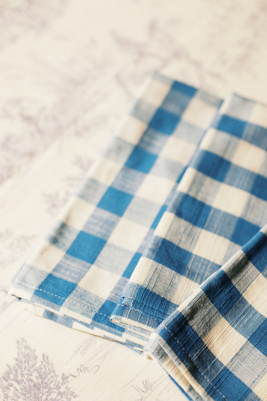 The French Picnic Napkin – Blue Gingham